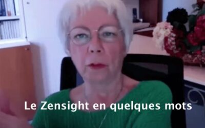 Le Zensight en quelques mots